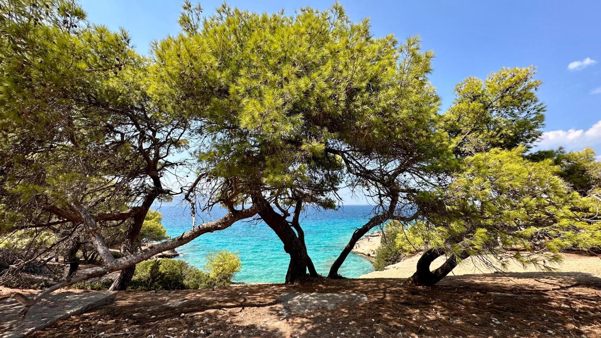 Appartement Vue Sur Mer Soul Family, Egine Aegina Zewnętrze zdjęcie