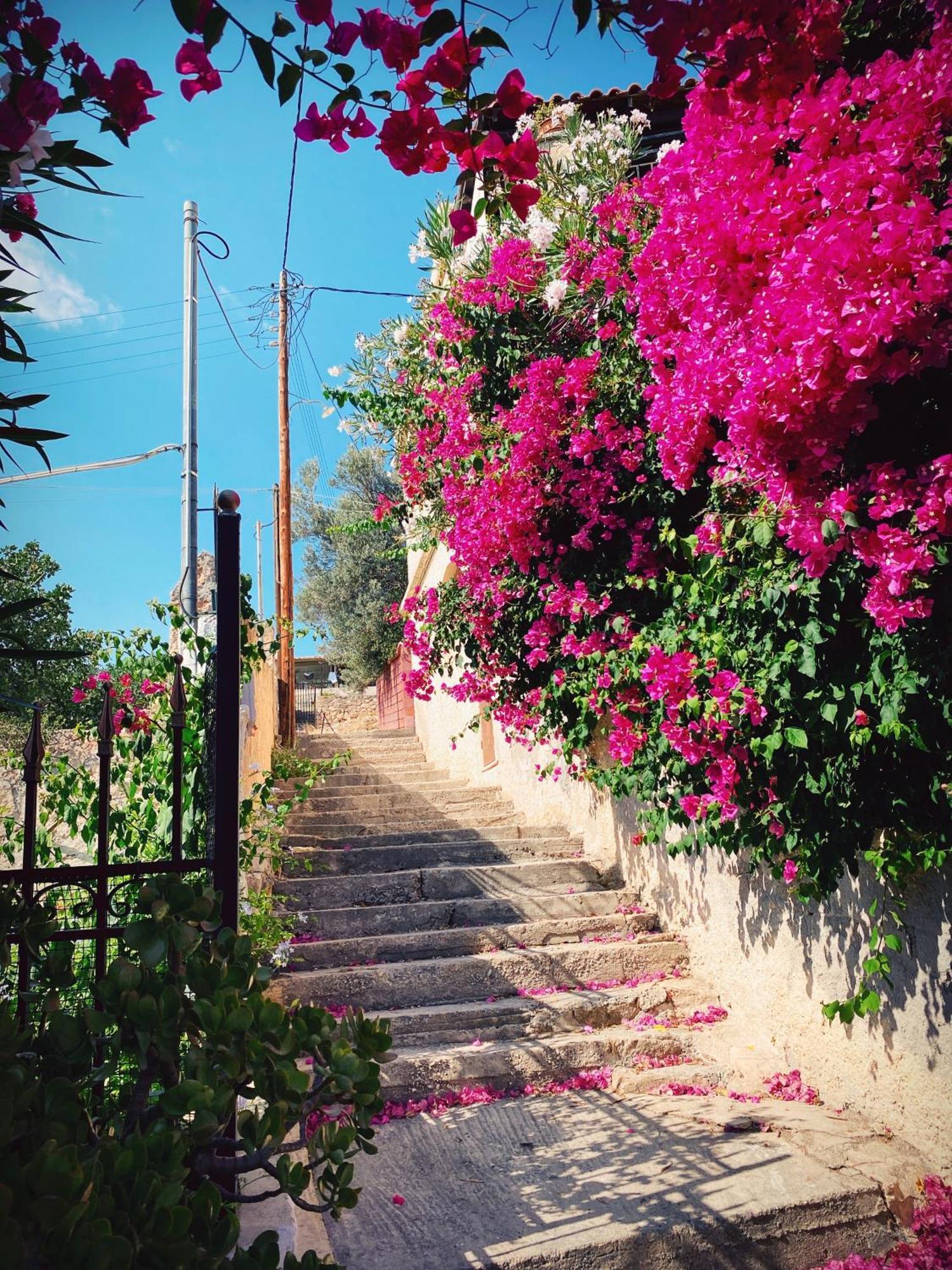 Appartement Vue Sur Mer Soul Family, Egine Aegina Zewnętrze zdjęcie